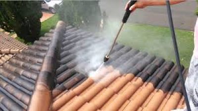 Dedetizadora Invctus foto 4