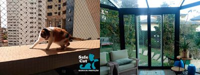Safecat foto 3